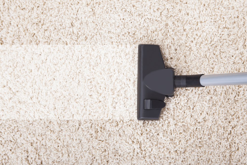 Rug Cleaning in Folkestone